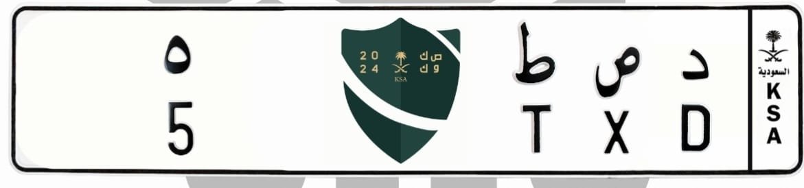 لوحة د ص ط 5